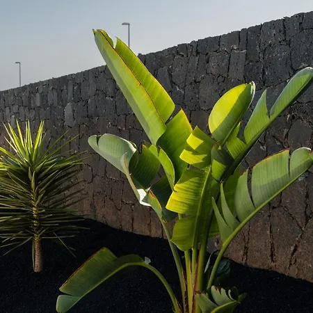 Altos De Lanzarote Villa Playa Blanca (Lanzarote)